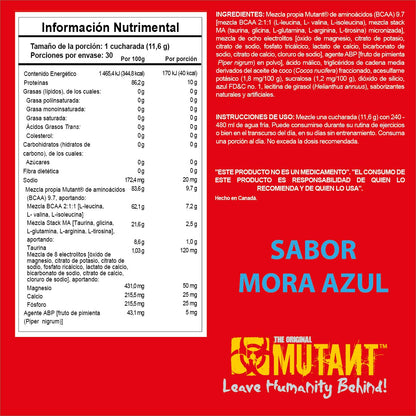 BCAA 9.7 348 g