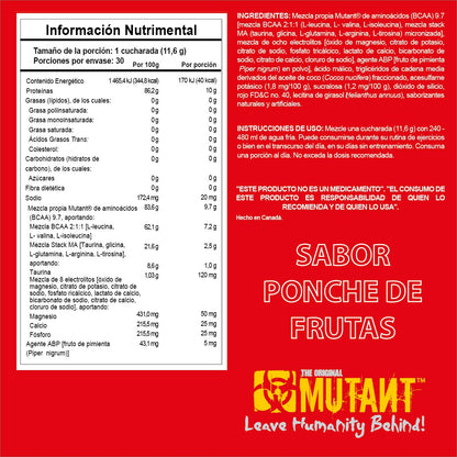 BCAA 9.7 348 g