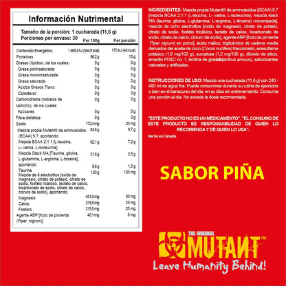 BCAA 9.7 348 g